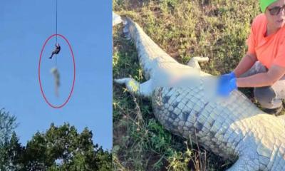 কুমিরের পেটে নিখোঁজ হোটেল মালিক, মিলল ৬ জোড়া জুতা