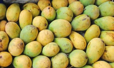 কেমিক্যাল দিয়ে পাকানো আম চিনবেন যেভাবে