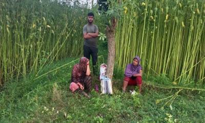 সীমান্তে বিএসএফের পুশইন, বিজিবির বাধায় ব্যর্থ চেষ্টা