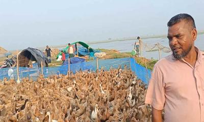 ৫০ হাজার টাকার ঋণ থেকে শুরু, এখন মাসে আয় ৯০ হাজার