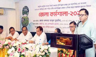 দুই বছরে বিদ্যুৎ-গ্যাস সংকট সমাধানের আশা: বাণিজ্যমন্ত্রী