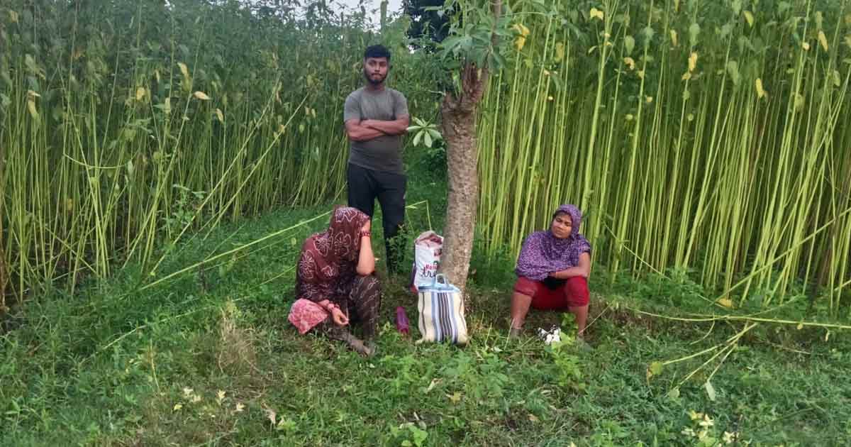 সীমান্তে বিএসএফের পুশইন, বিজিবির বাধায় ব্যর্থ চেষ্টা