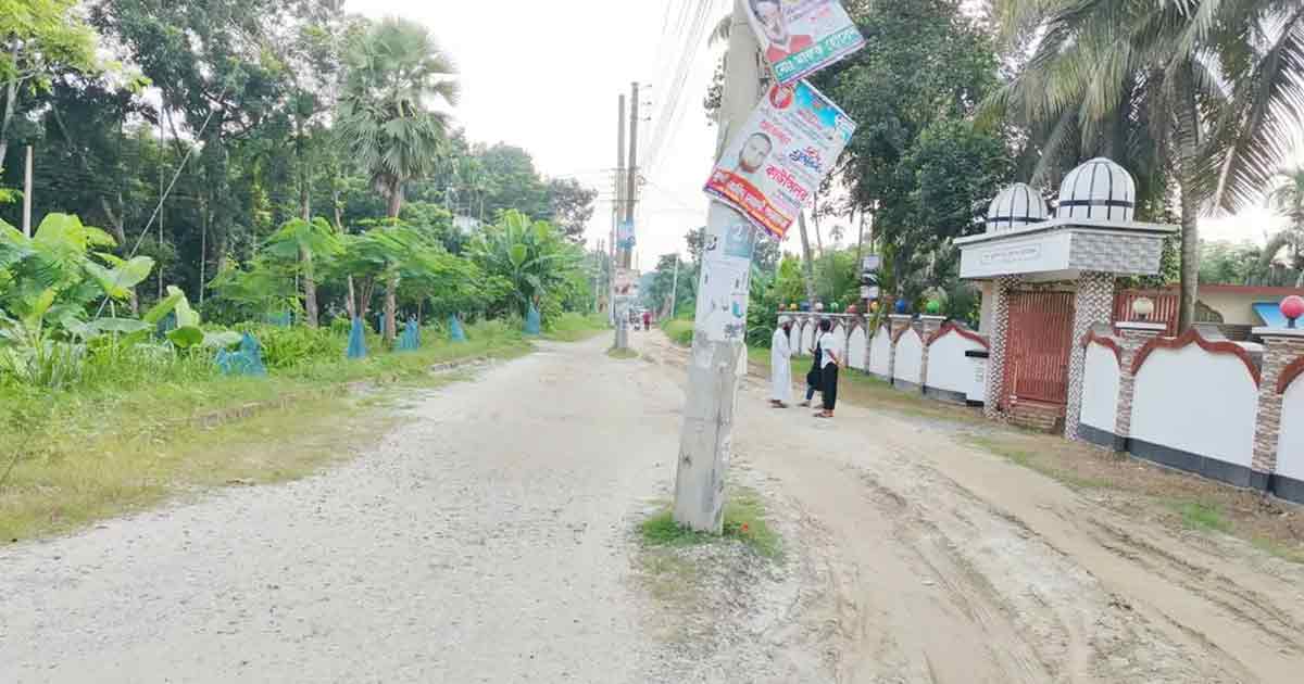 সড়কের মাঝখানে বৈদ্যুতিক খুঁটি, থমকে শ্রীপুর বাইপাসের কাজ