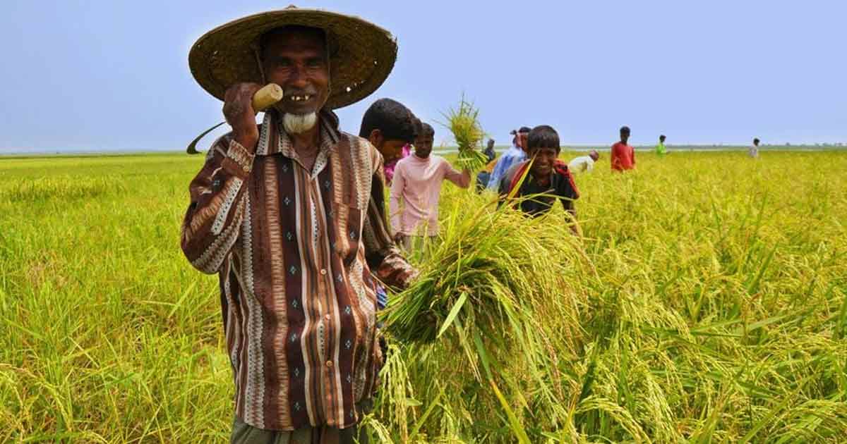 কৃষিঋণ মওকুফ সুবিধা পেয়েছেন ১৪ লাখ কৃষক: অর্থমন্ত্রী