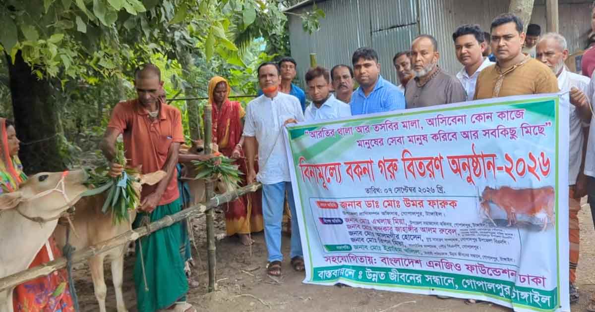 গোপালপুরে বিনামূল্যে বকনা গরু বিতরণ