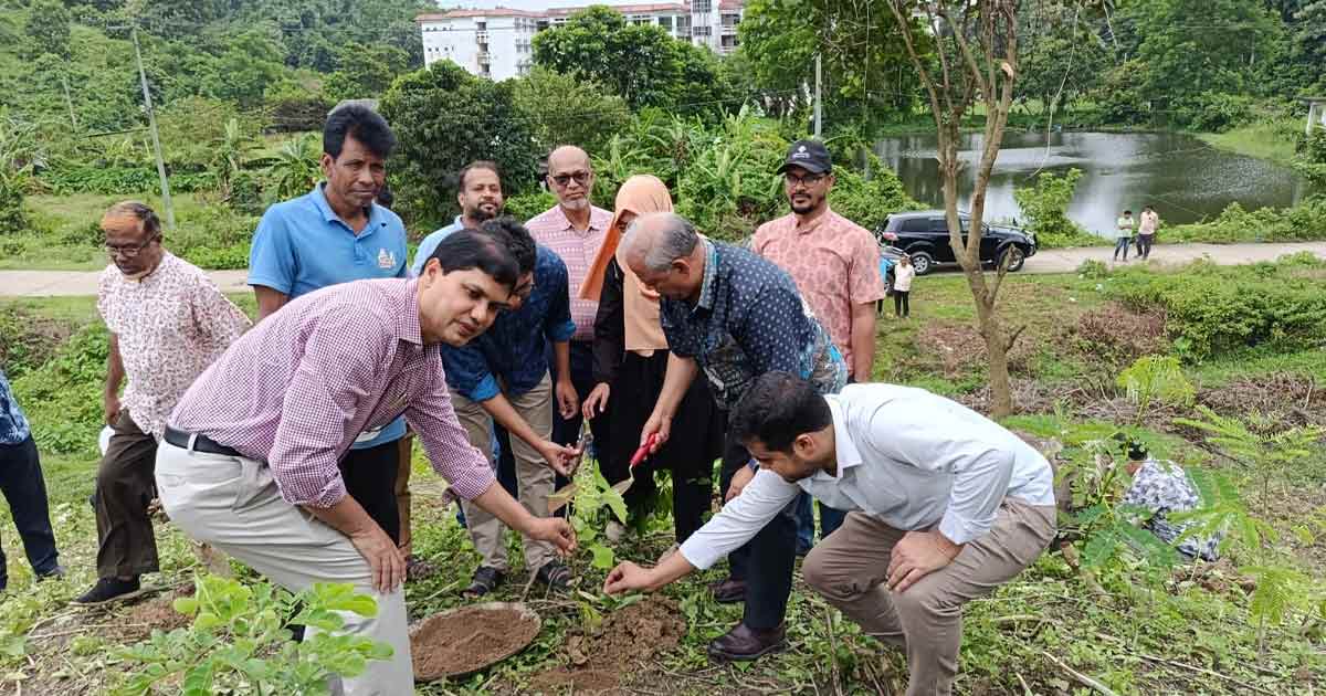 চবিতে ২৫ একর জমিতে ২৫ হাজার বৃক্ষরোপণের উদ্যোগ