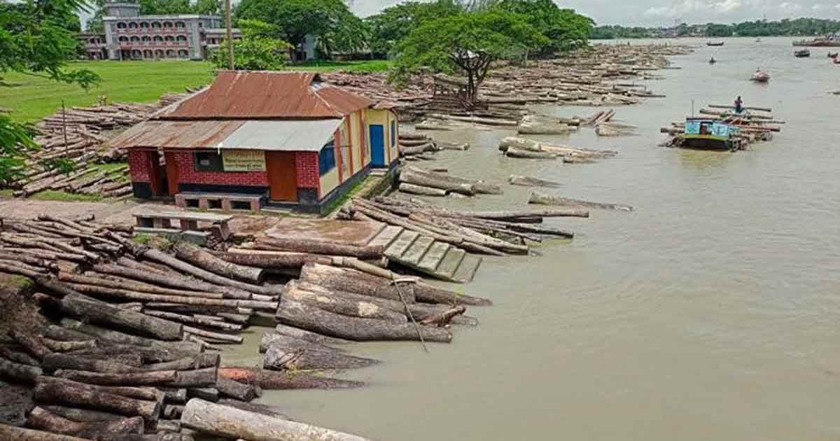 দক্ষিণের ভেনিস স্বরূপকাঠি : প্রকৃতির ক্যানভাসে আঁকা এক রূপসী জনপদ