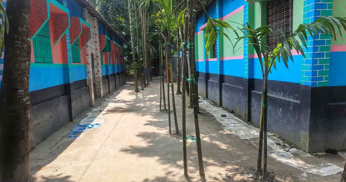 জমি না পেয়ে ভাতিজার বাড়ির রাস্তায় সুপারি গাছ লাগানোর অভিযোগ