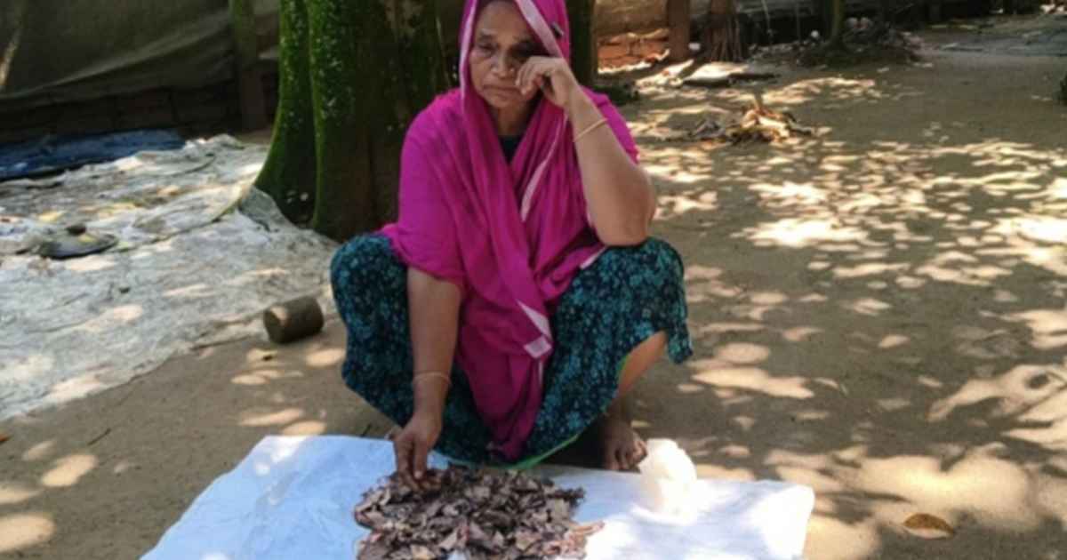 জর্দার কৌটায় নষ্ট ১০ বছরের সঞ্চয়, শেষ সম্বল হারিয়ে নিঃস্ব বিধবা