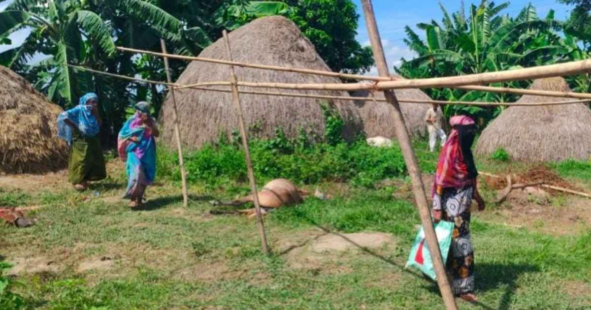 বাসাইলে রাতের আঁধারে ১০ ঘোড়া জবাই, ৭টির মাংস নিয়ে গেল দুর্বৃত্তরা