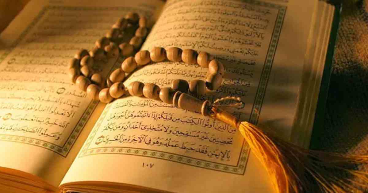 নবী-রাসুলদের চার মহান দায়িত্বে মানবতার মুক্তির পথ