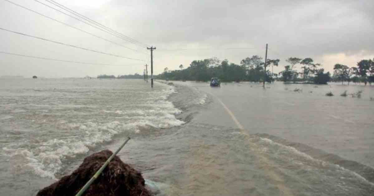 ভারী বৃষ্টিতে বাড়ছে নদীর পানি, ২৪ জেলায় বন্যার শঙ্কা