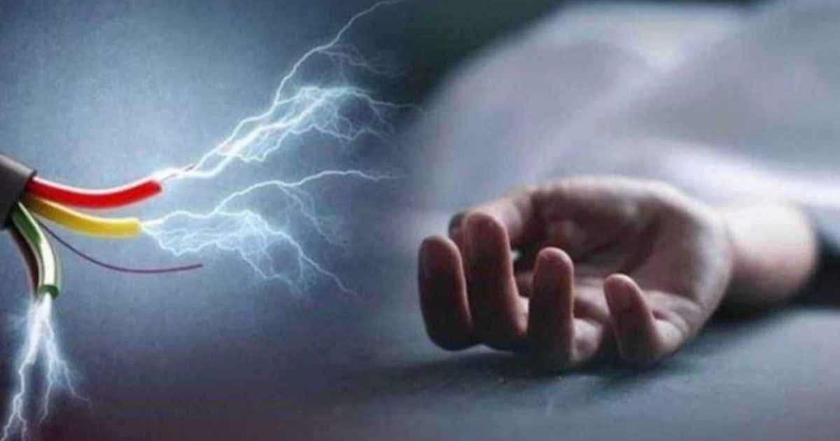 মাছ ধরতে গিয়ে বিদ্যুৎস্পৃষ্টে প্রাণ গেল দুই যুবকের