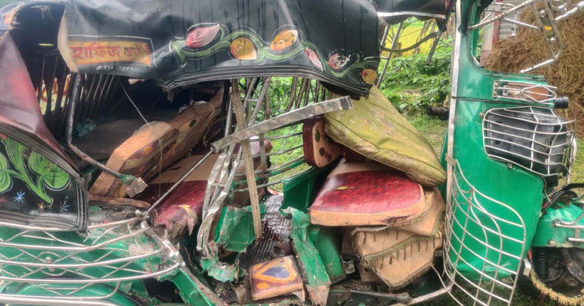 নেত্রকোনায় সড়ক দুর্ঘটনায় প্রাণ গেল দুইজনের