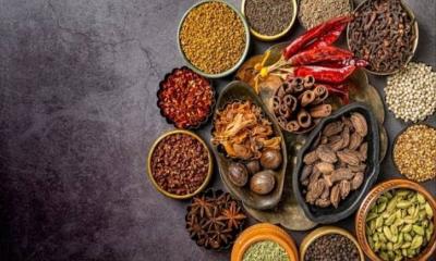 আসছে ববি-প্রীতির ‘সোলজার’ এর সিকুয়েল!