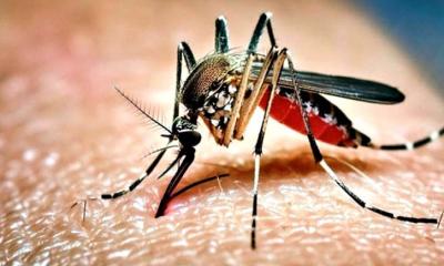রাতে কম ঘুমালে কি শুক্রাণুর মান কমে?