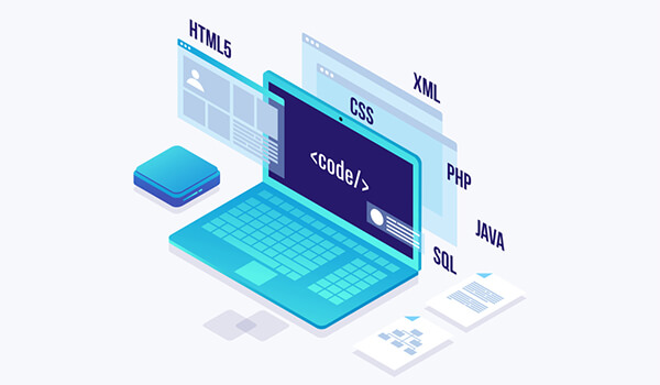 Web Development