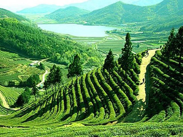 Sylhet