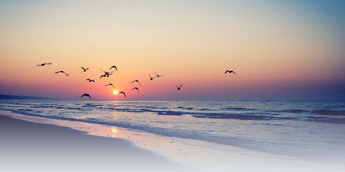Cox’s Bazar